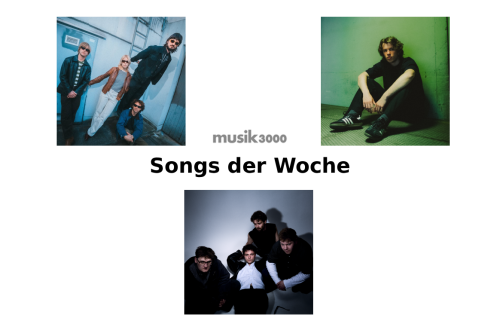 Annie Taylor, Florin & Razz