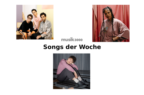 Son Lux, Ami Warning und Streichelt